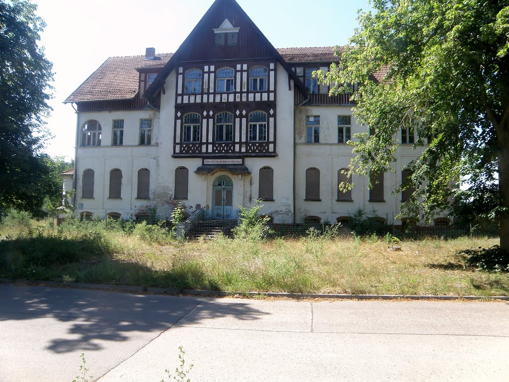 Lovely deserted mansion...used for nazi experiments by reginaz