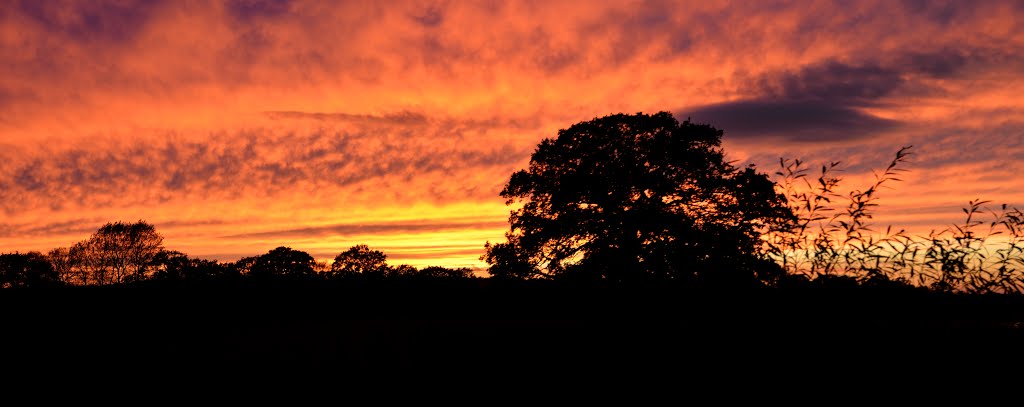 Otmoor by dufflee