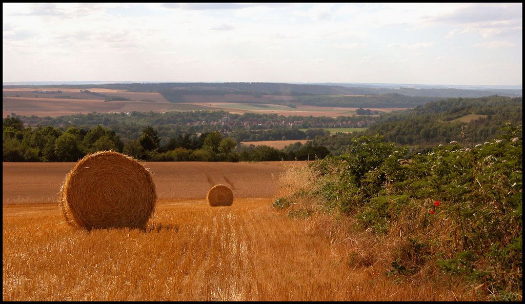 Noyers sur Serein depuis Jouancy by jcl.glass by jean-claude glass