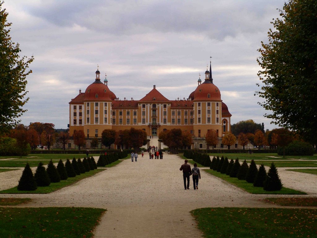 Moritzburg vom Wald gesehen 2 by world of pictures by KlausH