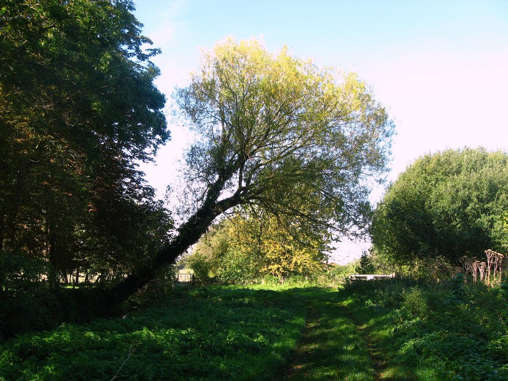 Little Stour valley. Near Wickhambreaux, Kent, UK. by Jean Marc Gfp