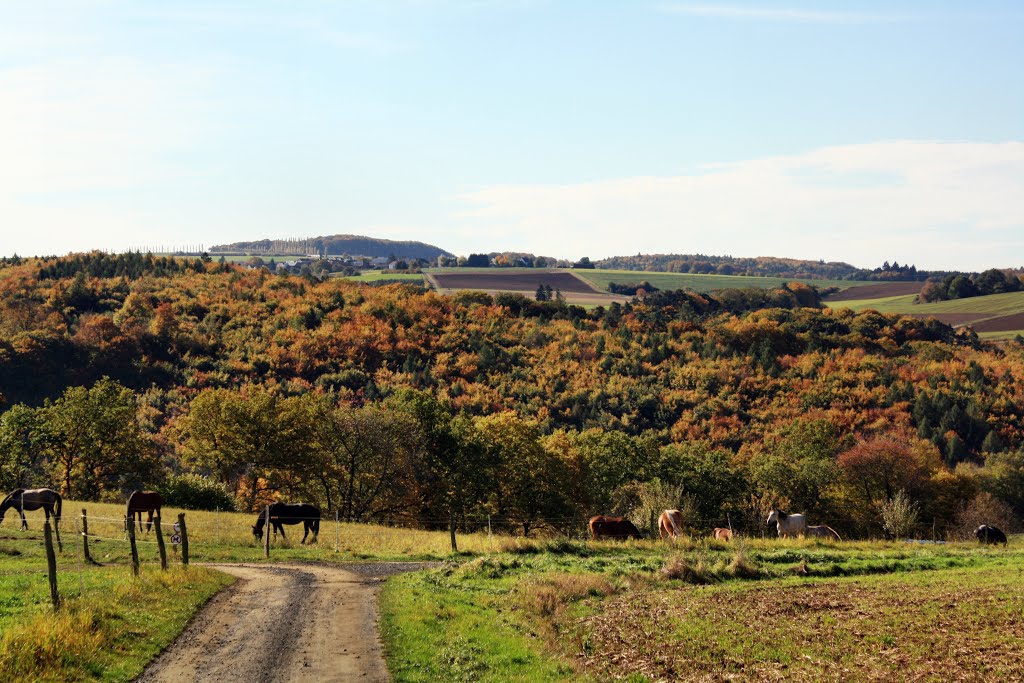 Blick über die Ruppbach by oller rainer