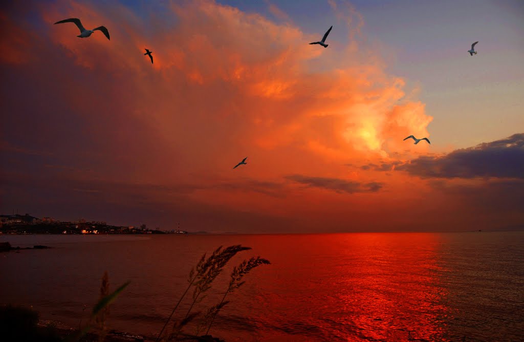 Владивосток. Вечер на берегу Амурского залива. Vladivostok. Evening on the shore the Amursky Bay. by Veniamin Manuylov