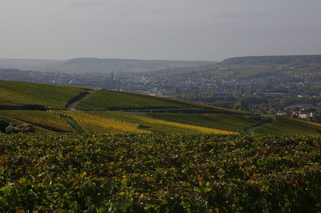 Epernay et la vallée de la Marne vus de Champillon by H.Vanaquer