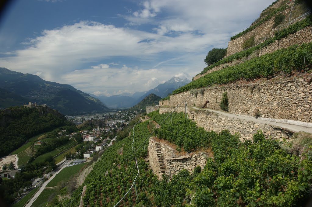 Bisse de clavau 1 by frank roosenbrand