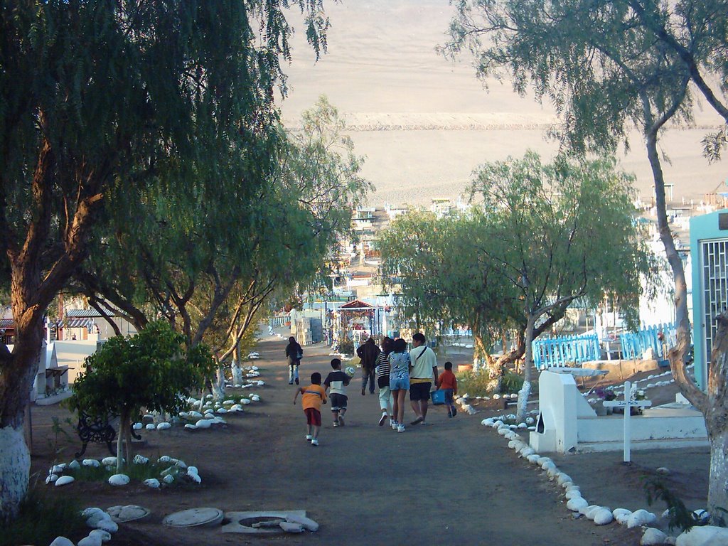 Cementerio de San Miguel de Azapa by Challenger Australis