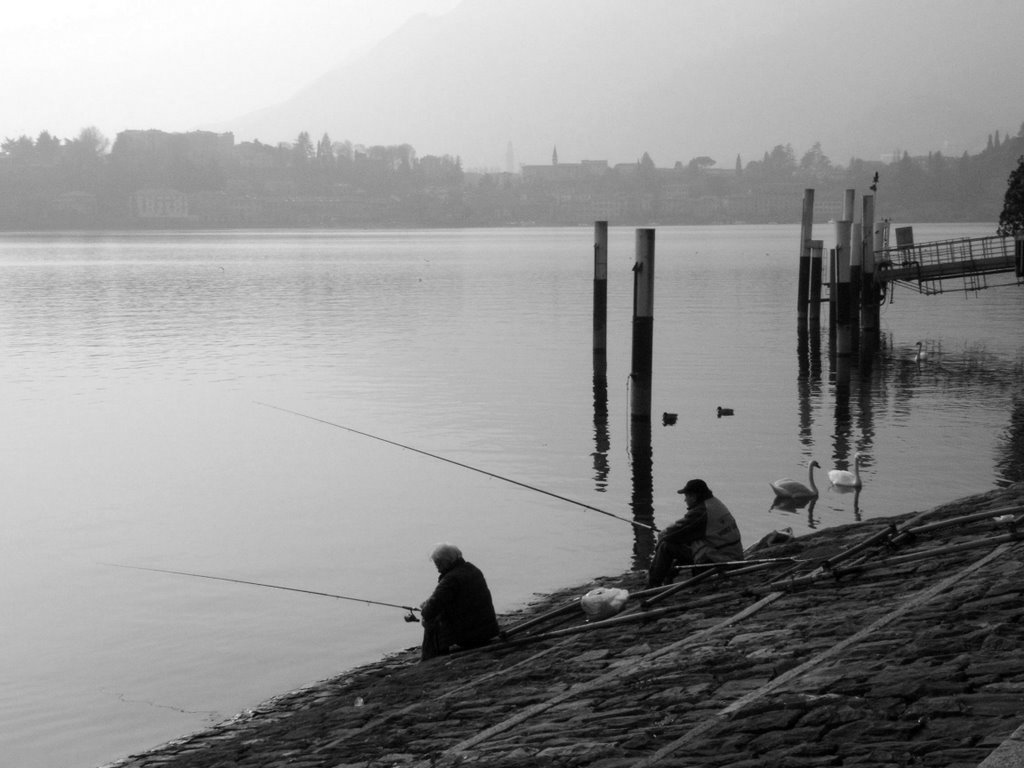 Passeggiando per Lecco... by Omar Conti