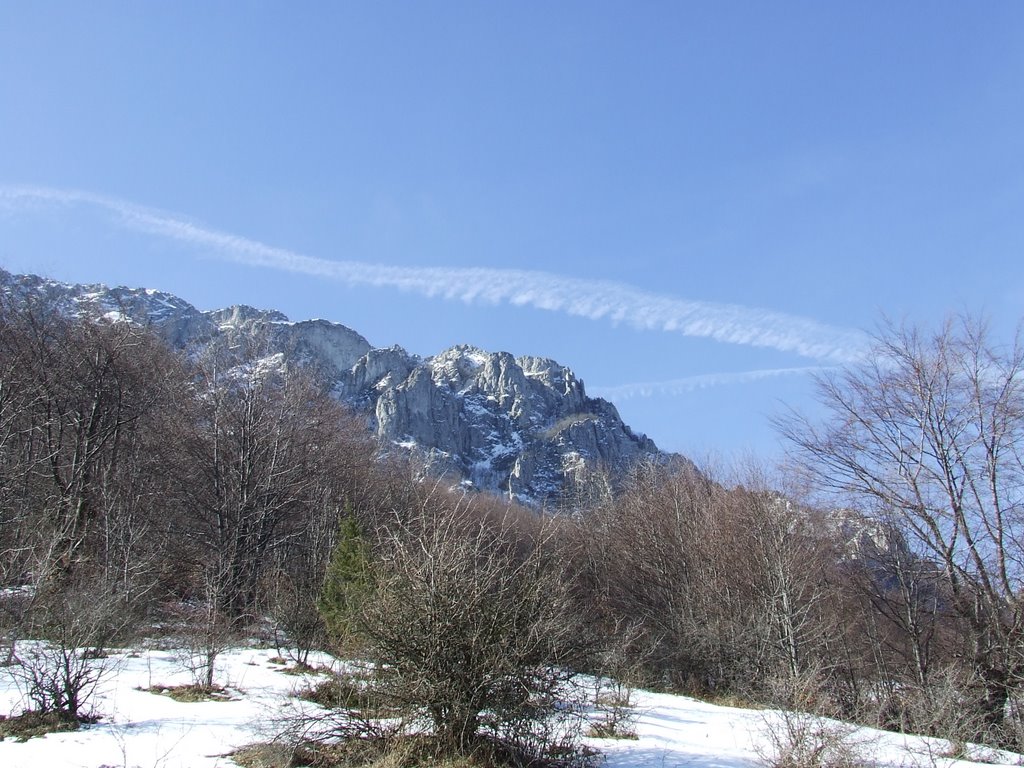 Suva planina by šumadinče