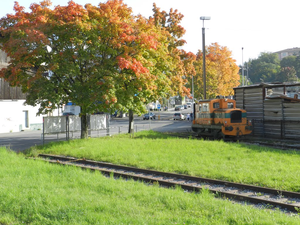 Automne à Sébeillon by general's photographs