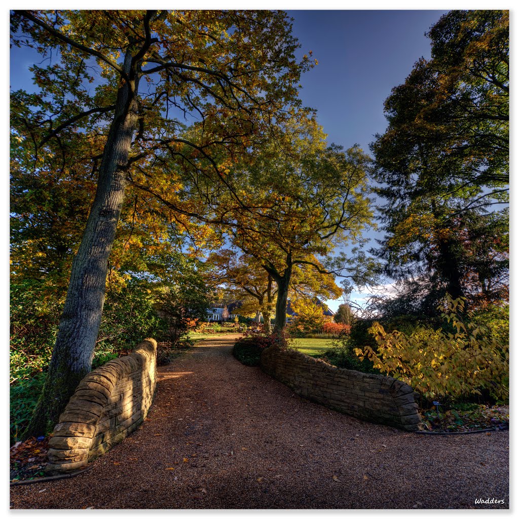 Harlow Carr Gardens by Wadders