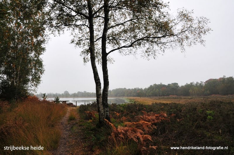 Strijbeekse heide baronie by hendrikeland