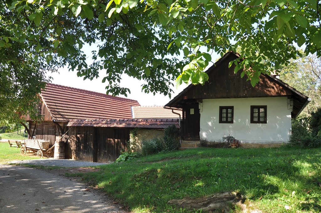 ŠOKČEV dvor - Žuniči by alukasev