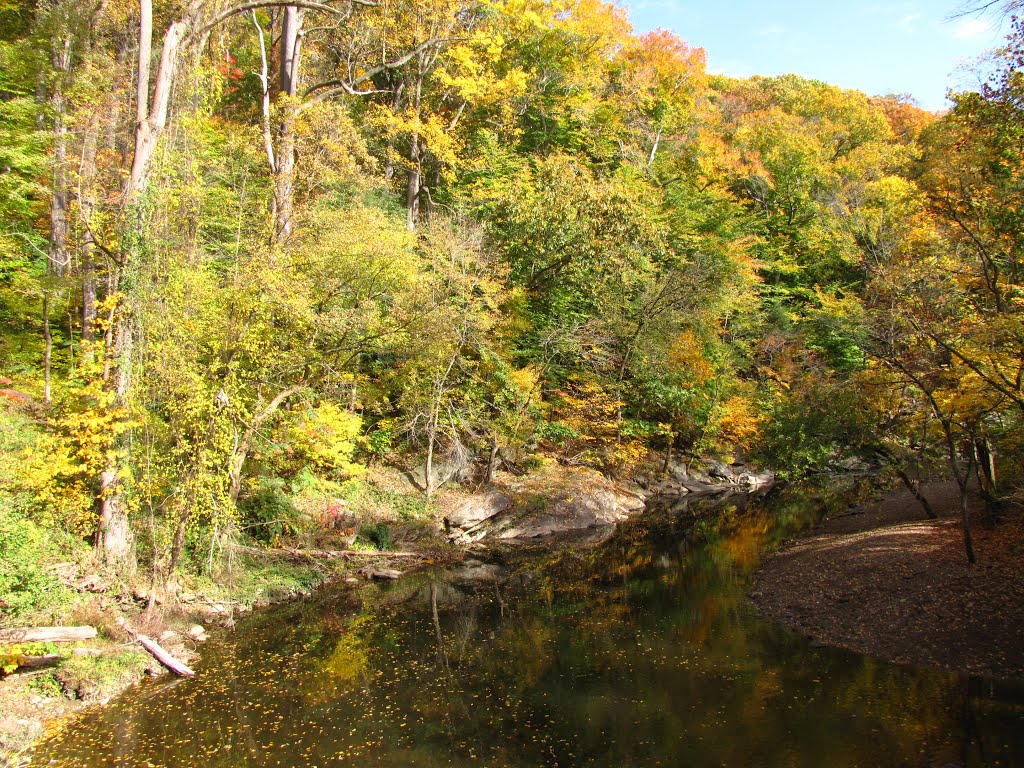 Wissahickon Creek Downstream by Chris Sanfino