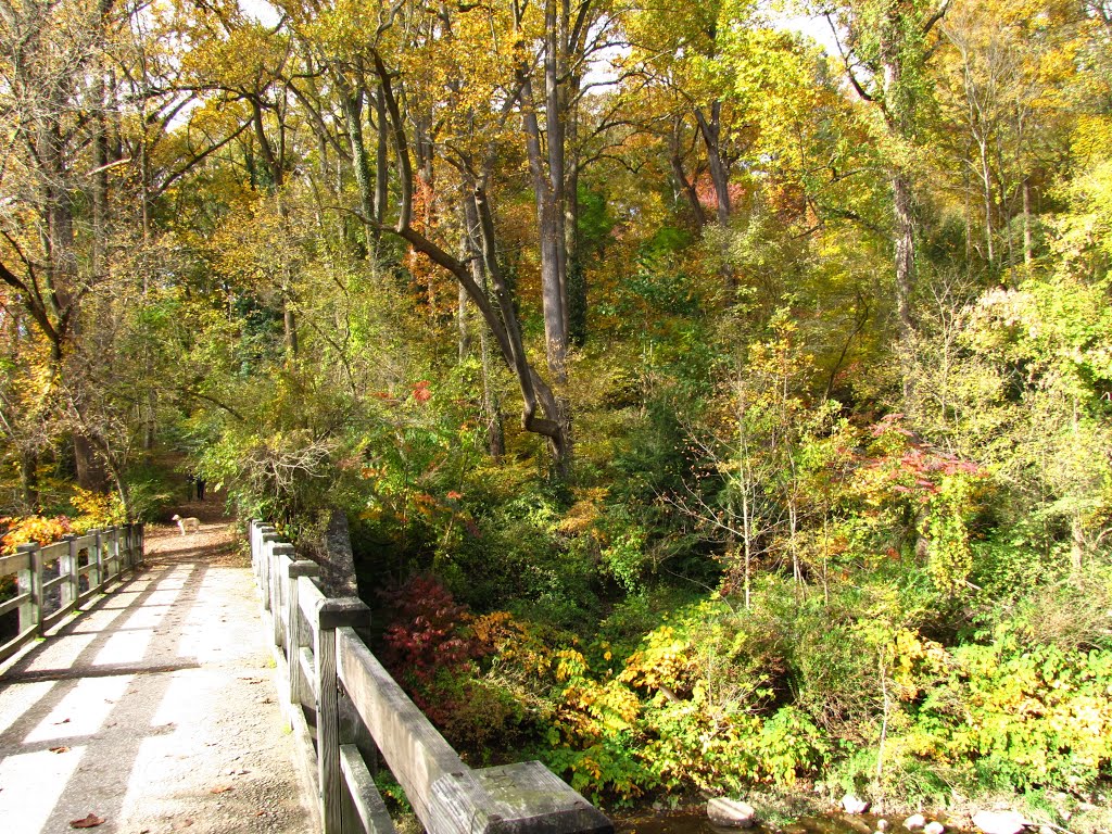 Wissahickon Creek Bridge by Chris Sanfino