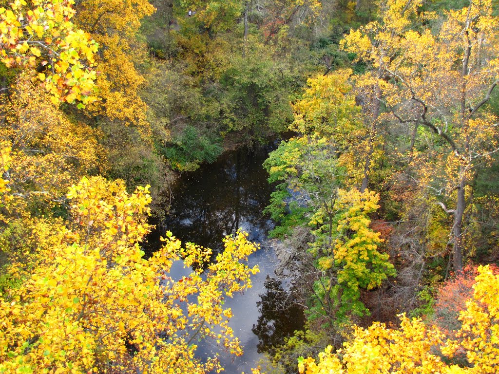 Wissahickon Creek Upstream from Walnut Lane Bridge by Chris Sanfino