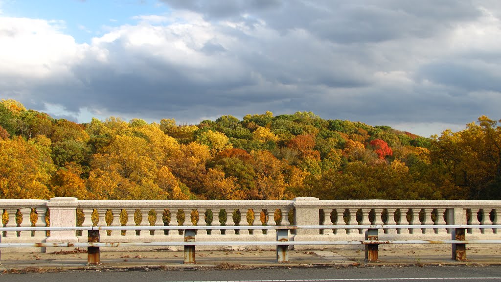 Walnut Lane Bridge by Chris Sanfino