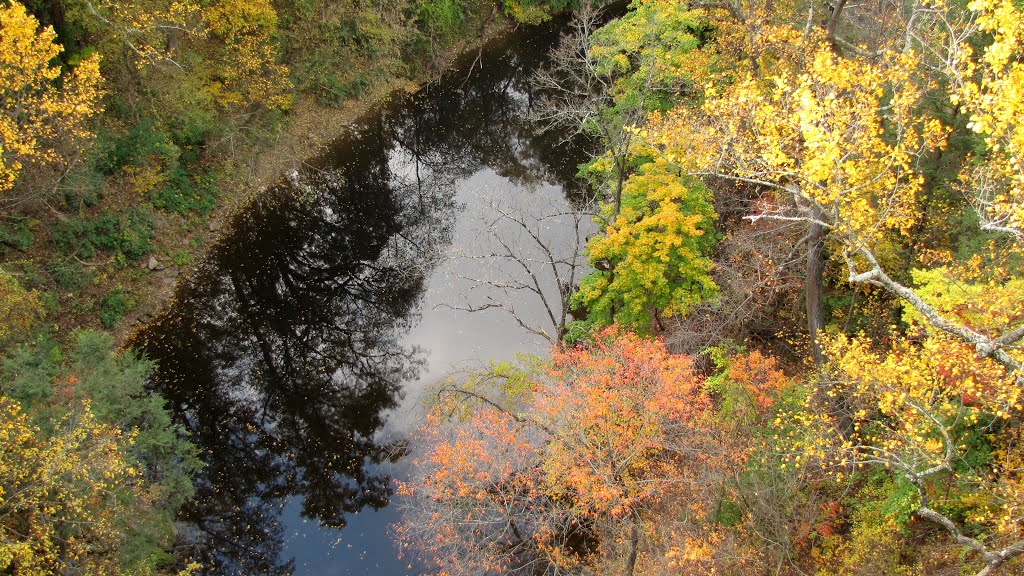 Wissahickon Creek Upstream by Chris Sanfino