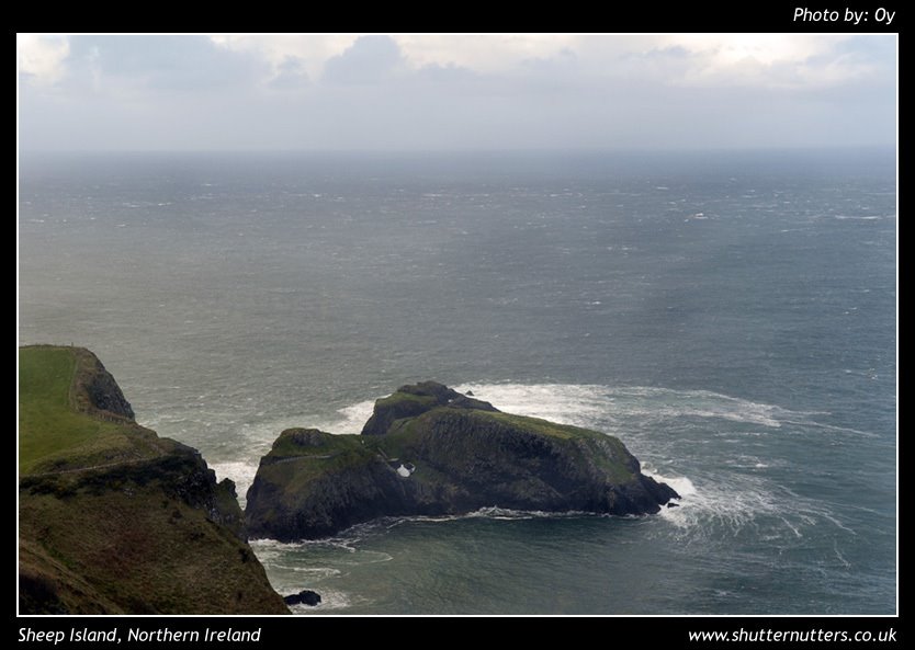 Sheep Island by www.ShutterNutters.co.uk