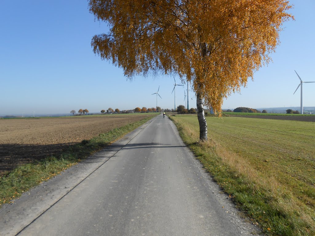 Haarweg in Richtung Ruhne by archi 66