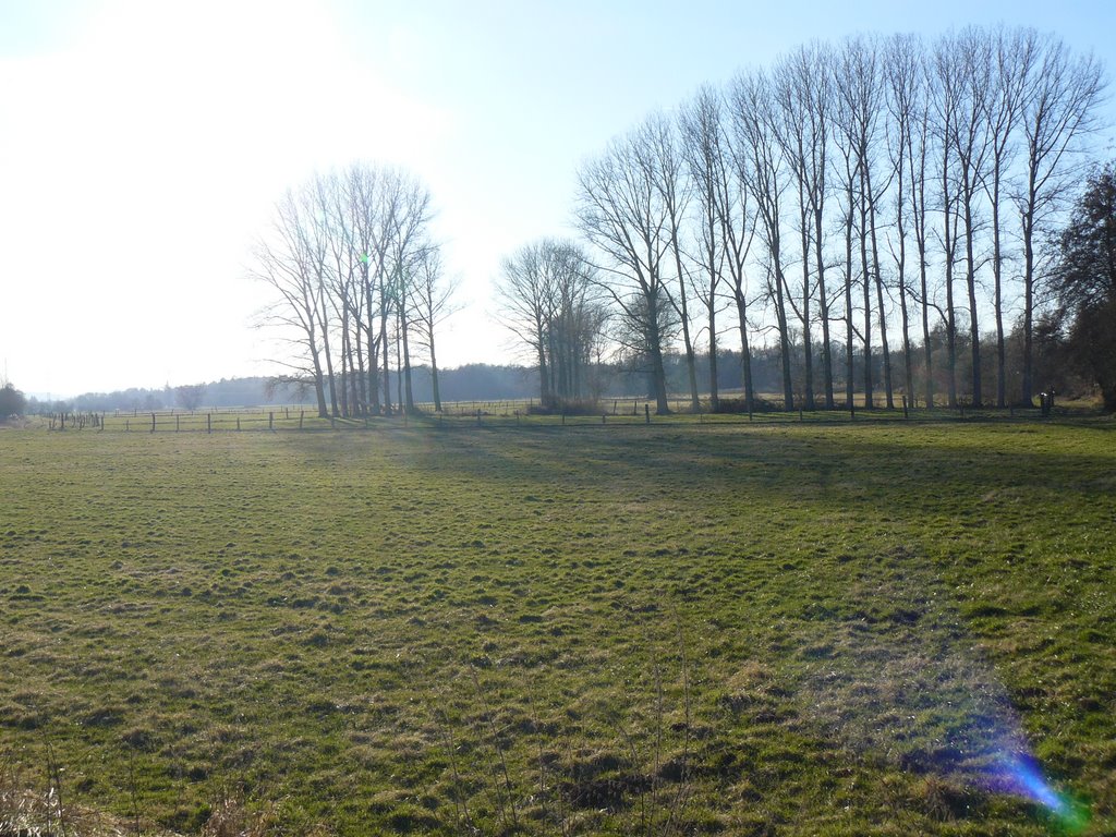 Auenlandschaft bei Dieburg by Armin Silber