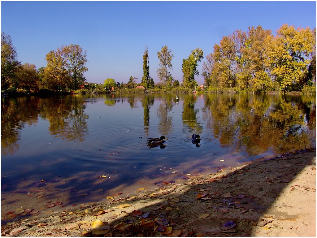 Őszi napon...,tó-tükörben-autumn day ... a lake-view mirrors by lacinonno