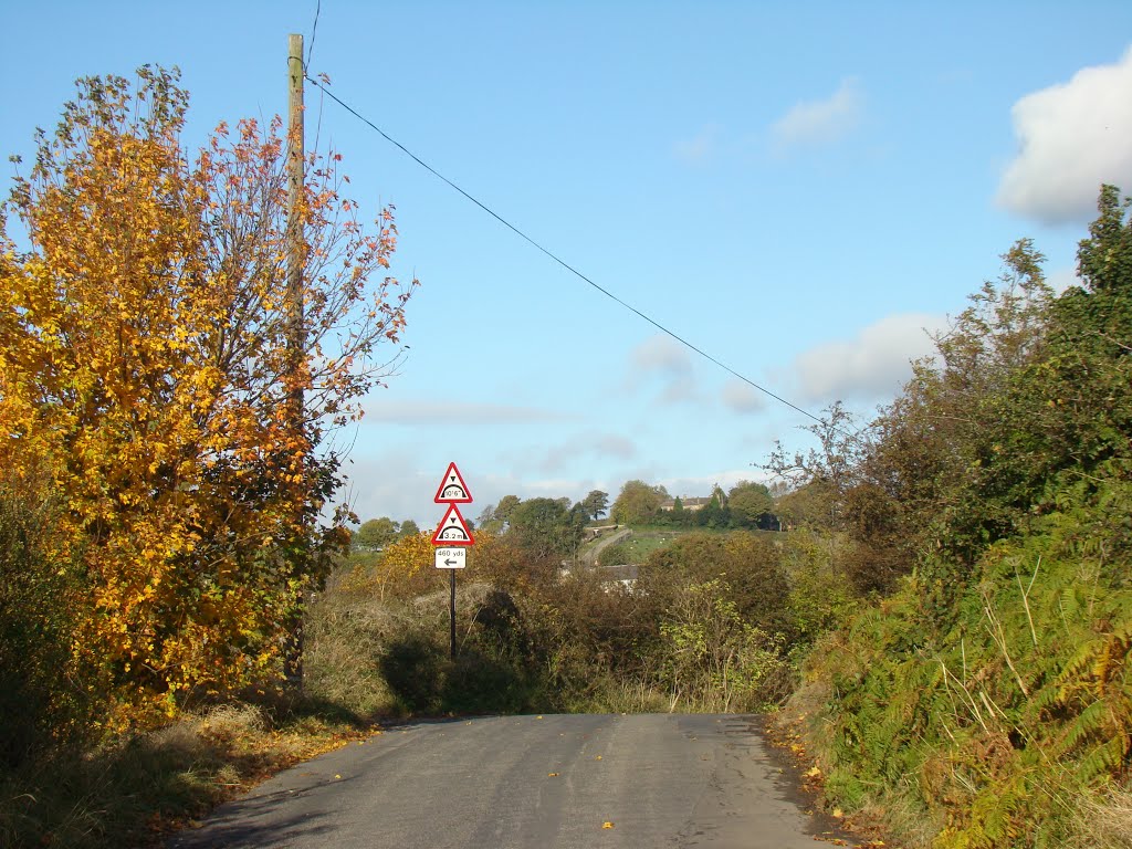 Midhurst Road autumn scene, Birley Carr, Sheffield S6 by sixxsix