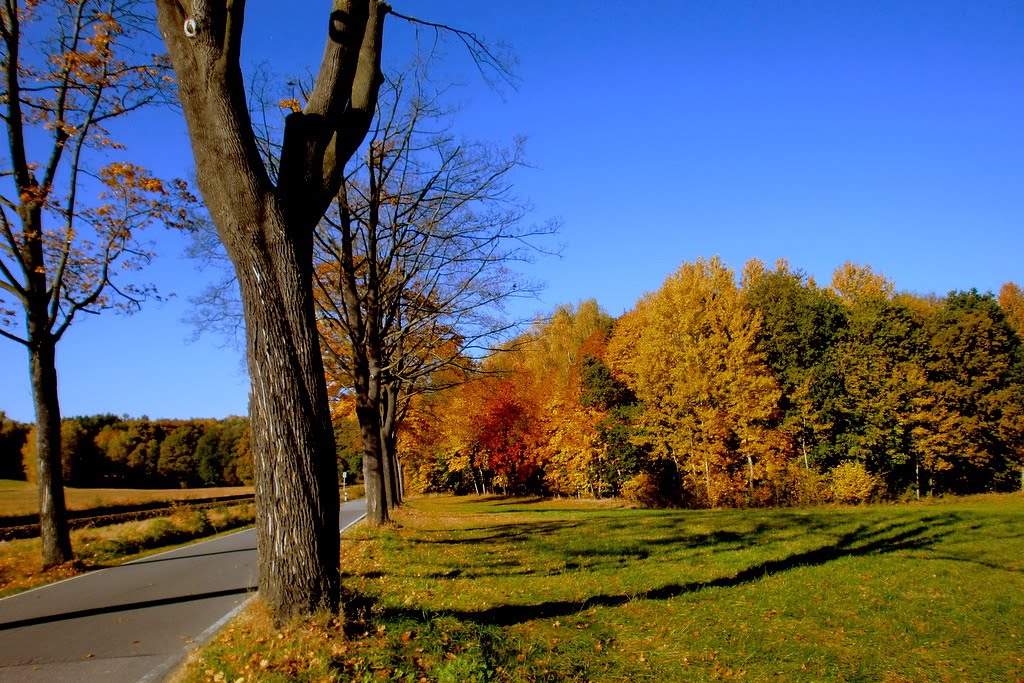 Goldener Oktober by gerdjana