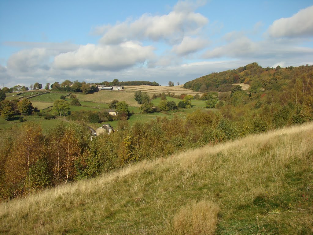 Autumnal scene at Birley Edge, Upper Don Valley, Sheffield S6 by sixxsix