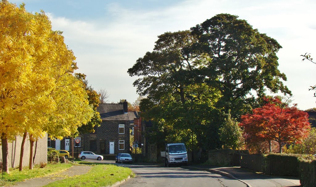 Autumnal Midhurst Road looking towards Fox Hill Road, Birley Carr, Sheffield S6 by sixxsix