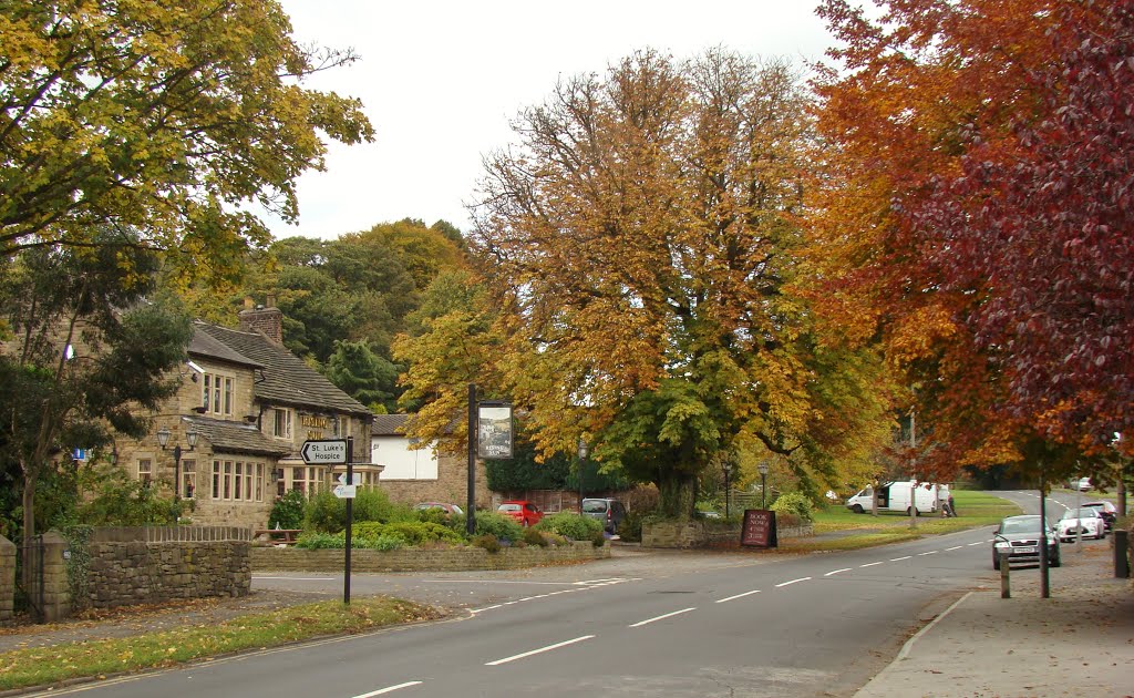 Autumn trees on Abbey Lane with a glimpse of The Rising Sun, Sheffield S11 by sixxsix