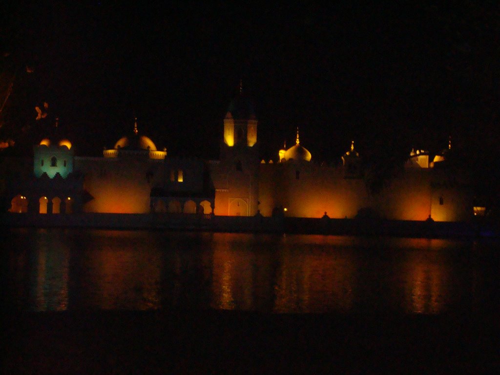 Efteling at night by svache