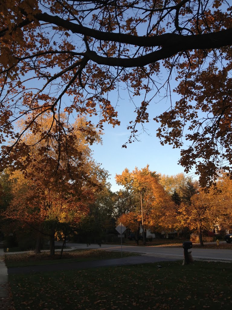 The beautiful skyline of the hood called Arrowhead by mcalcagno93