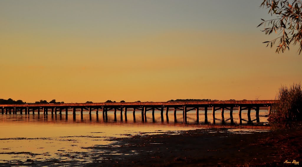 The Dock Of The Bay by Cujobird