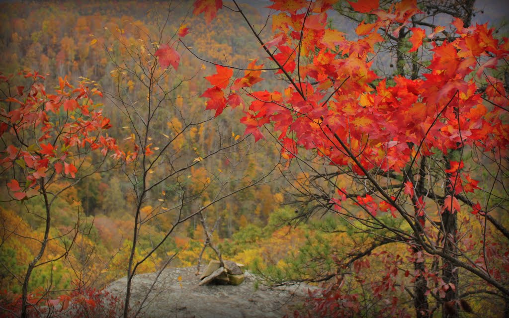 Fiery Maple and Clifftop Cross by B Humphreys