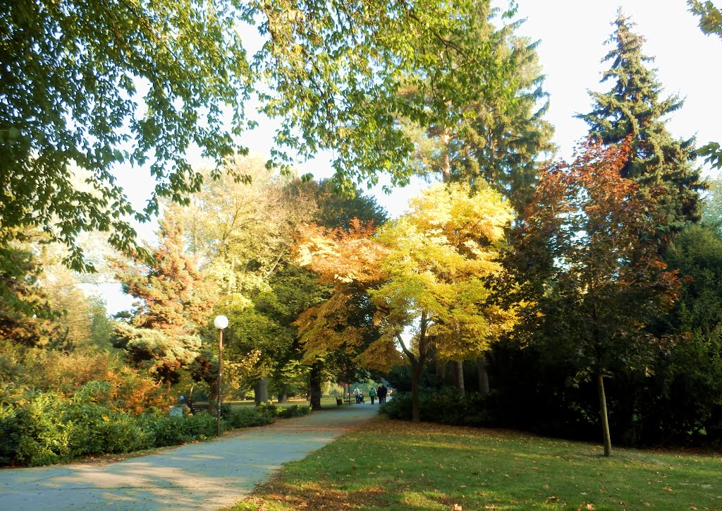 Autumn, Bratislava, Slovakia by karolplus