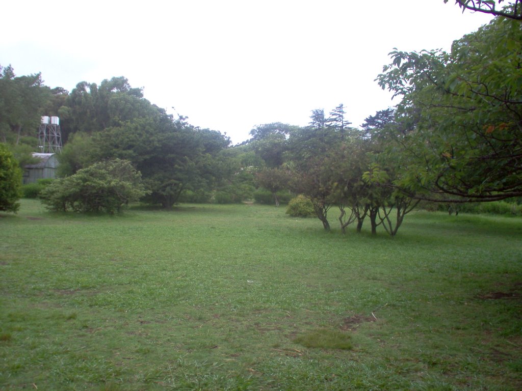 Jardín Japonés, parque Lillo by Izhak el Dragontosaurio