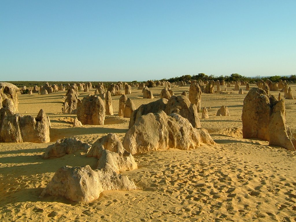 Pinnacles at Nambung NP by Dr.Karin Dobat