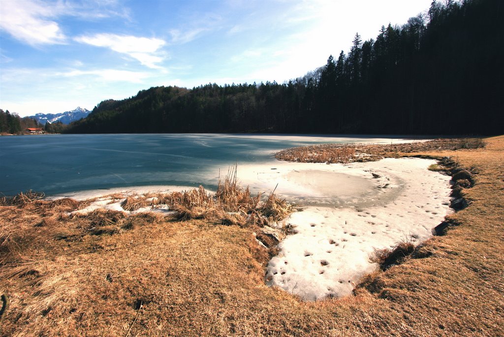 Snow Tongue (Germany, Alatsee, Winter '08) by andim