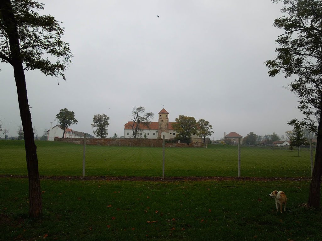 Zámek ve Vlasaticích - 22.10.2012 by Robin - psí turista