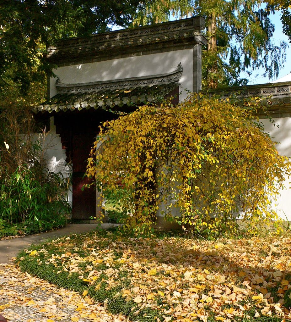 Frankfurt am Main, Herbst im Chinesischen Garten by Blaustich