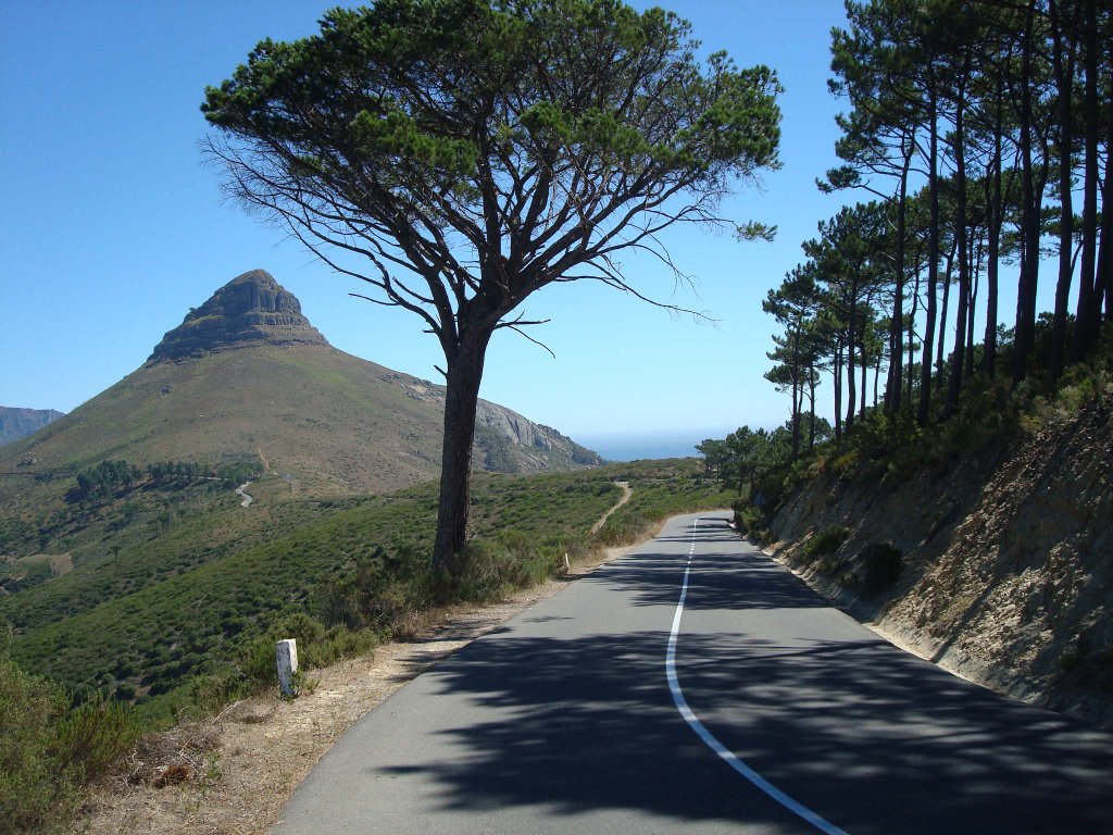 Signal Hill - View towards Lion's Head by Emiliano Homrich