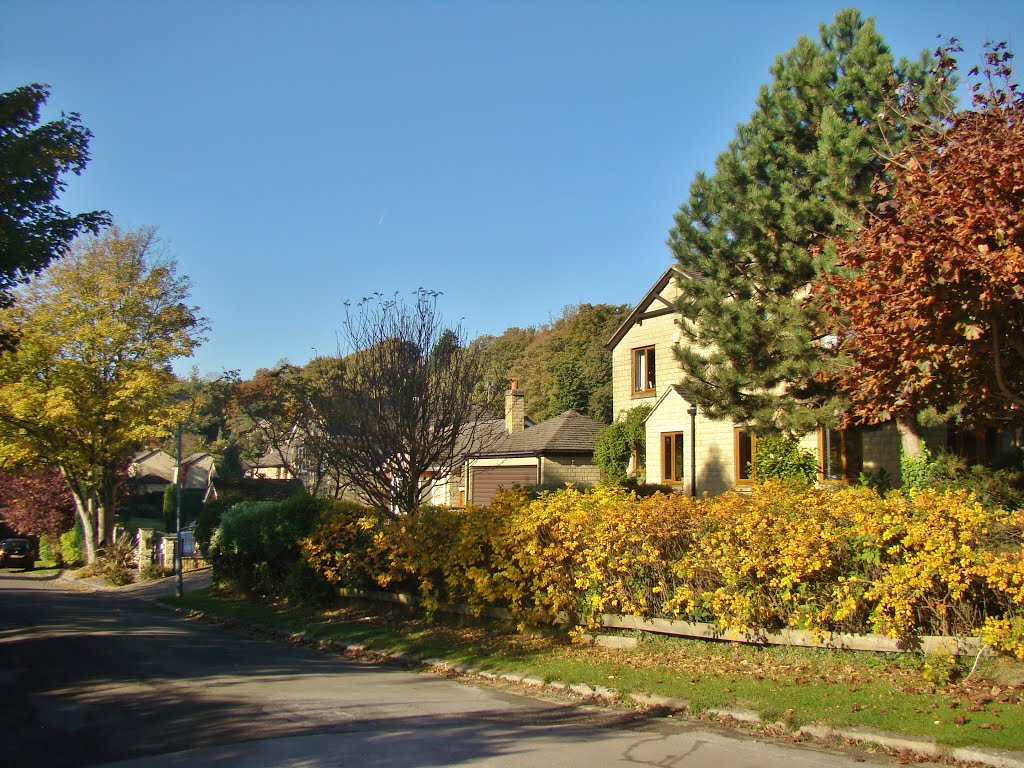 Autumn colours on Belgrave Road 1, Ranmoor, Sheffield S10 by sixxsix