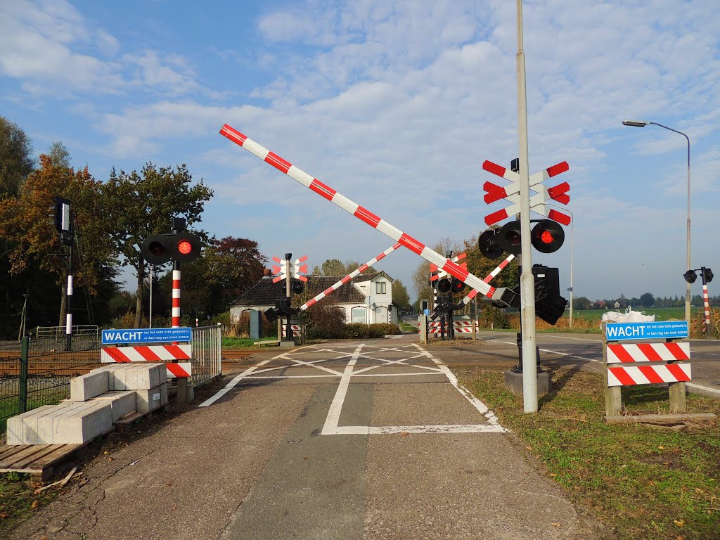 De Trein komt er aan.(BB) by Bayke de Vries