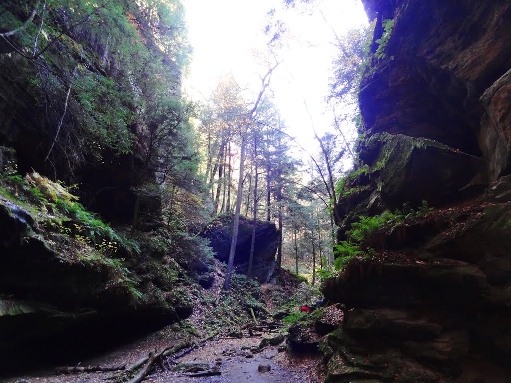 Conkles Hollow, Hocking Hills by McSky