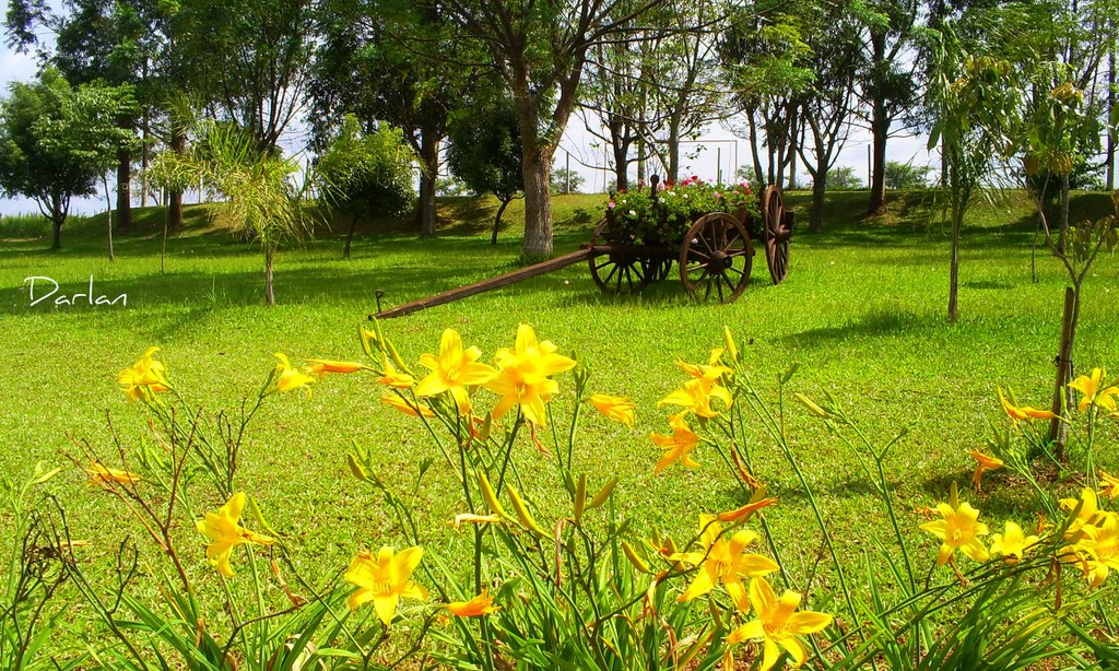 FLORES E HISTÓRIA by Darlan Corral