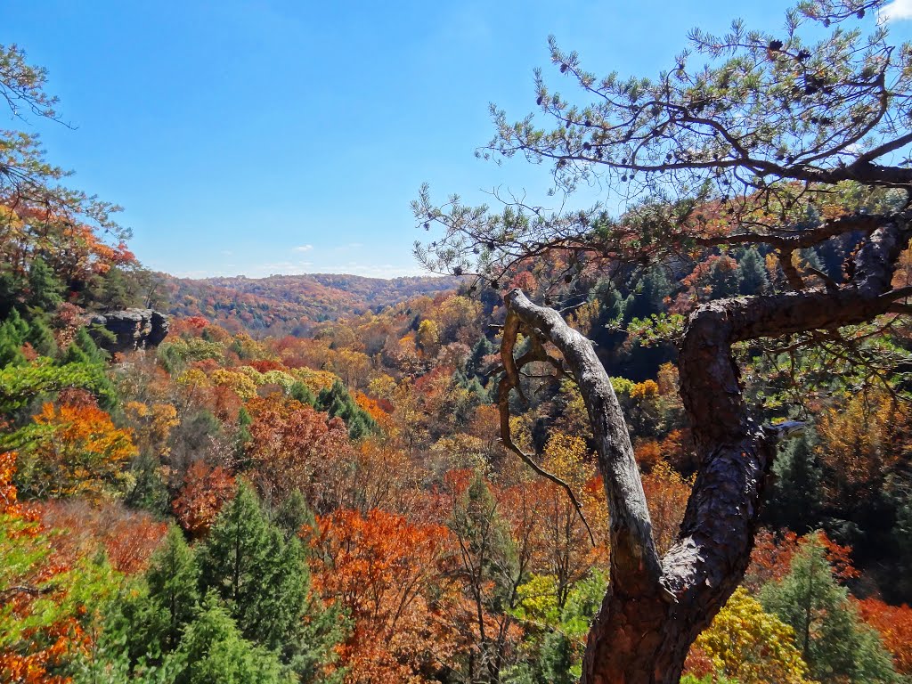 Conkles Hollow, Hocking Hills by McSky