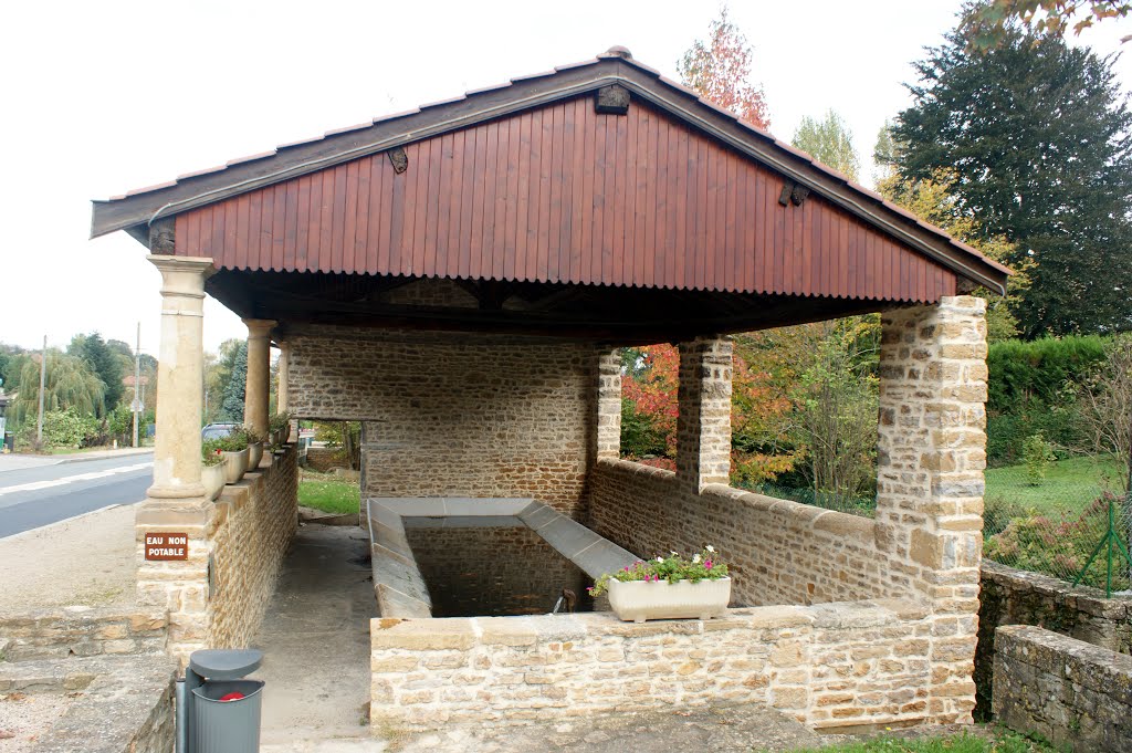 Lavoir à Curis-Au-Mont-D'Or by philetisa