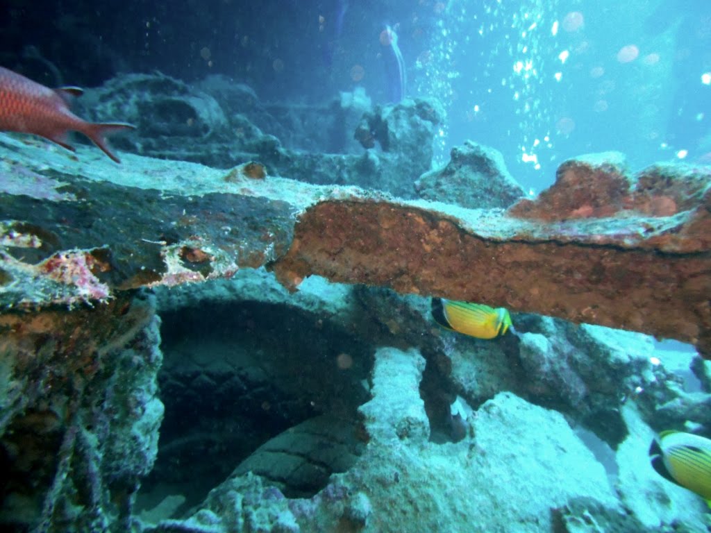 Thistlegorm wreck by maremagna