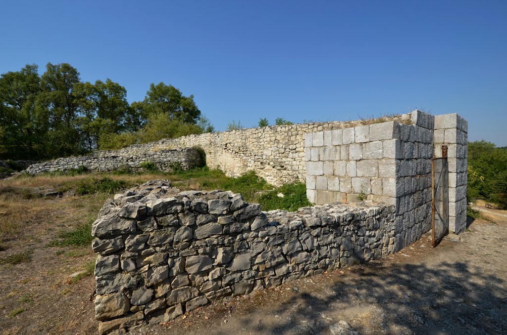 Крепост Сторгозия / Storgozia Fortress by godonikolov