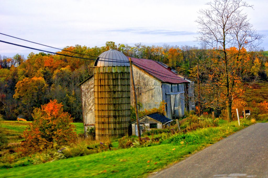 Barn by dsk458